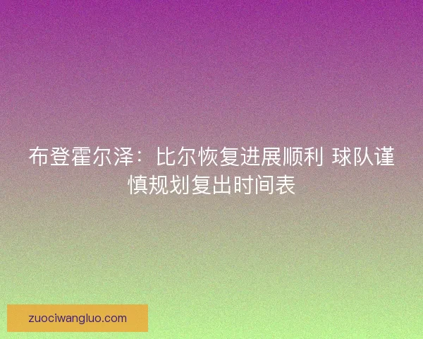 布登霍尔泽：比尔恢复进展顺利 球队谨慎规划复出时间表